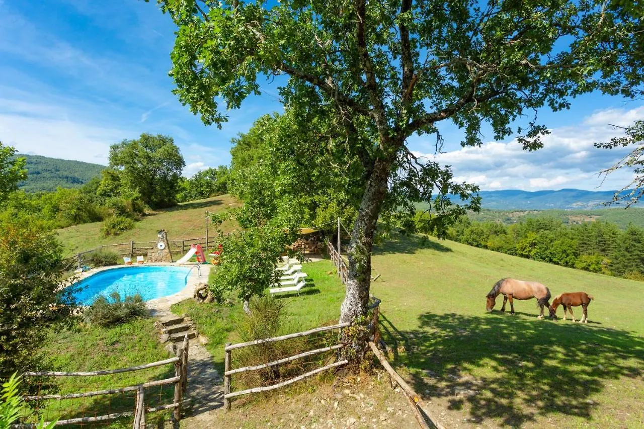 Villa Bellavista Arezzo
